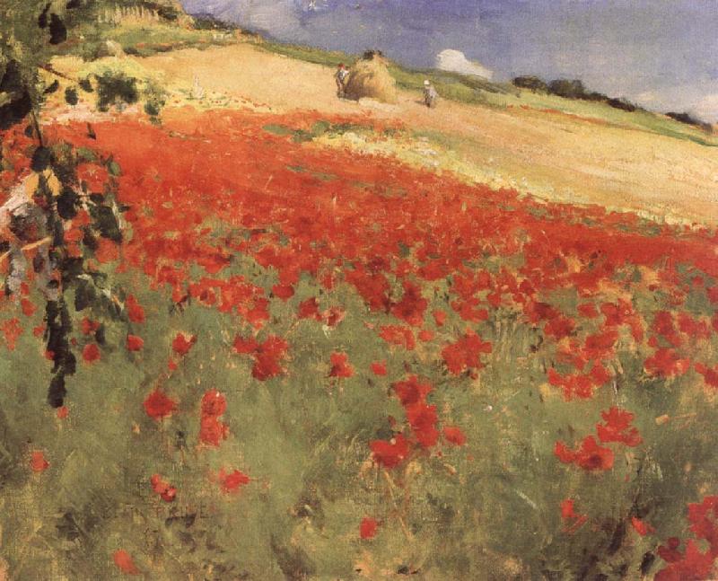 William blair bruce Landscape with Poppies oil painting image